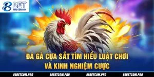 Đá gà cựa sắt