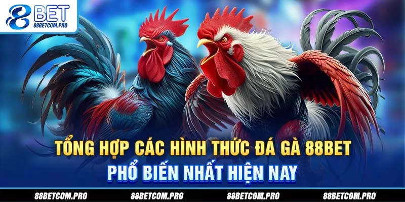 Tổng hợp các hình thức đá gà 88Bet phổ biến nhất hiện nay Tổng hợp các hình thức đá gà 88Bet phổ biến nhất hiện nay