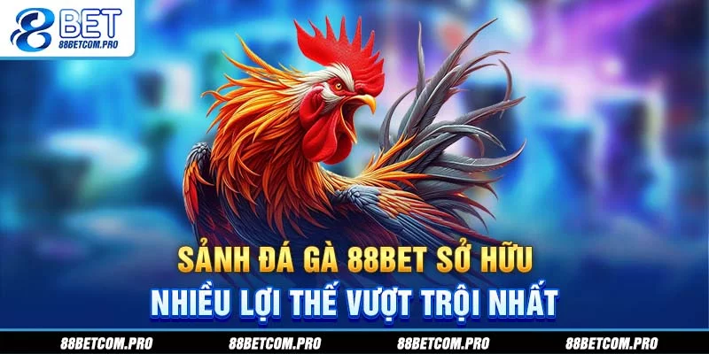 Sảnh đá gà 88Bet sở hữu nhiều lợi thế vượt trội nhất Sảnh đá gà 88Bet sở hữu nhiều lợi thế vượt trội nhất