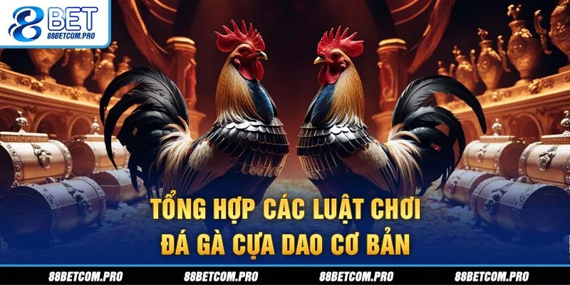 Tổng hợp các luật chơi đá gà cựa dao cơ bản Tổng hợp các luật chơi đá gà cựa dao cơ bản